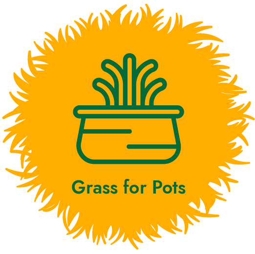 artificial grass for pots