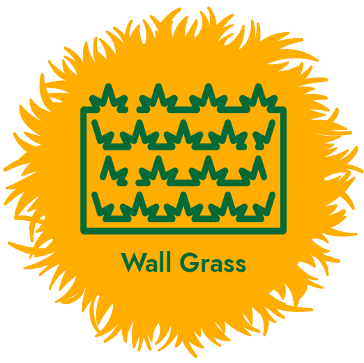 artificial grass for wall