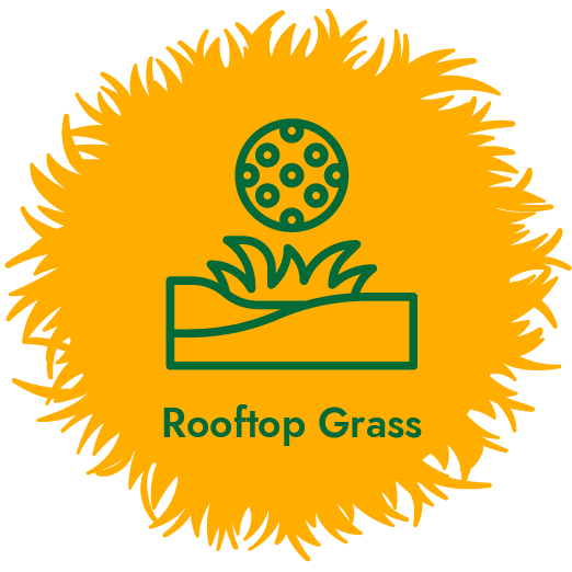 rooftops artificial grass
